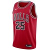 Muške NBA Dres Chicago Bulls Dalen Terry 25 Nike 2022-23 Icon Edition Crvena Swingman